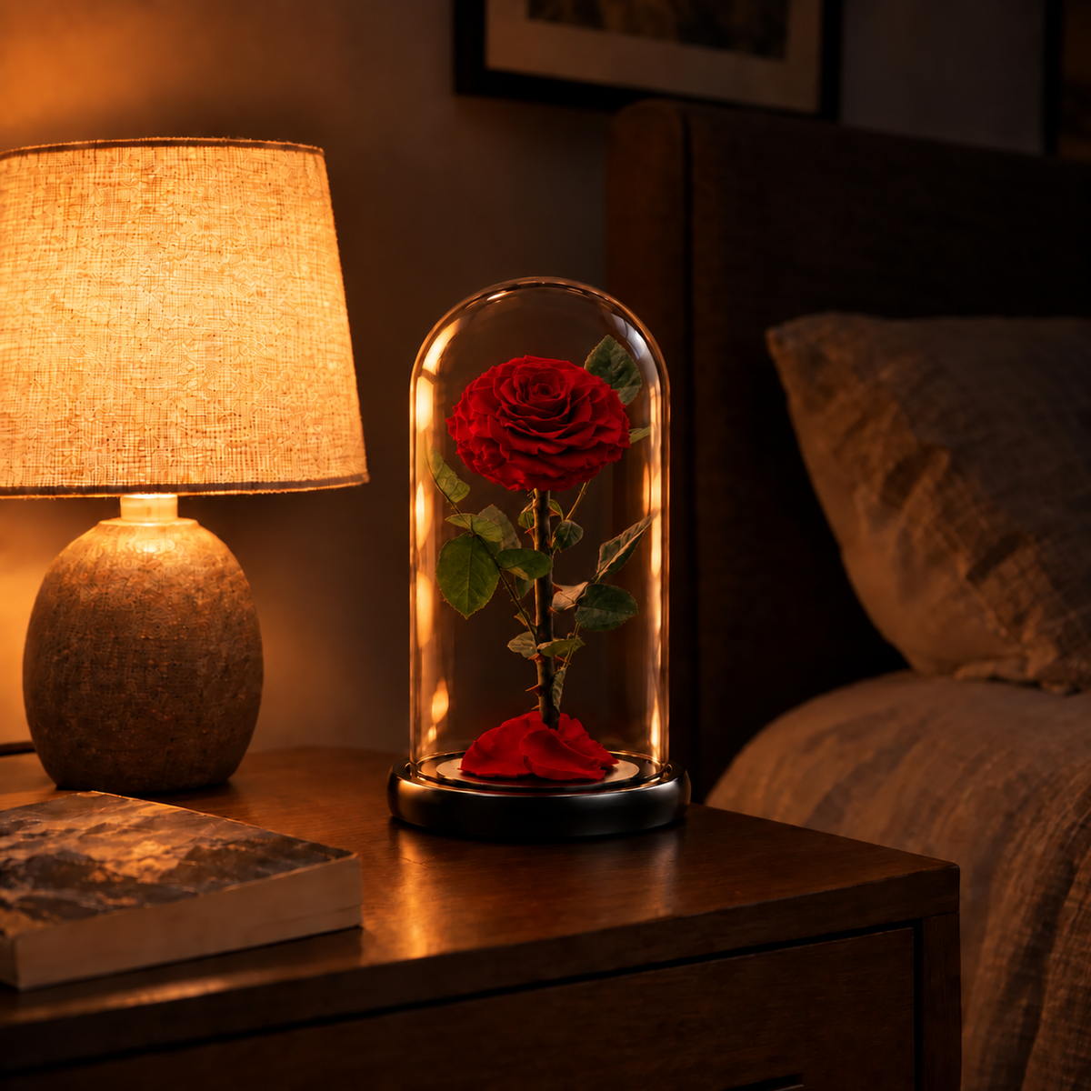 Soulmate preserved rose dome beside a warm bedside lamp