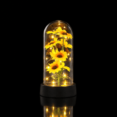 Little Sunshine Sunflower