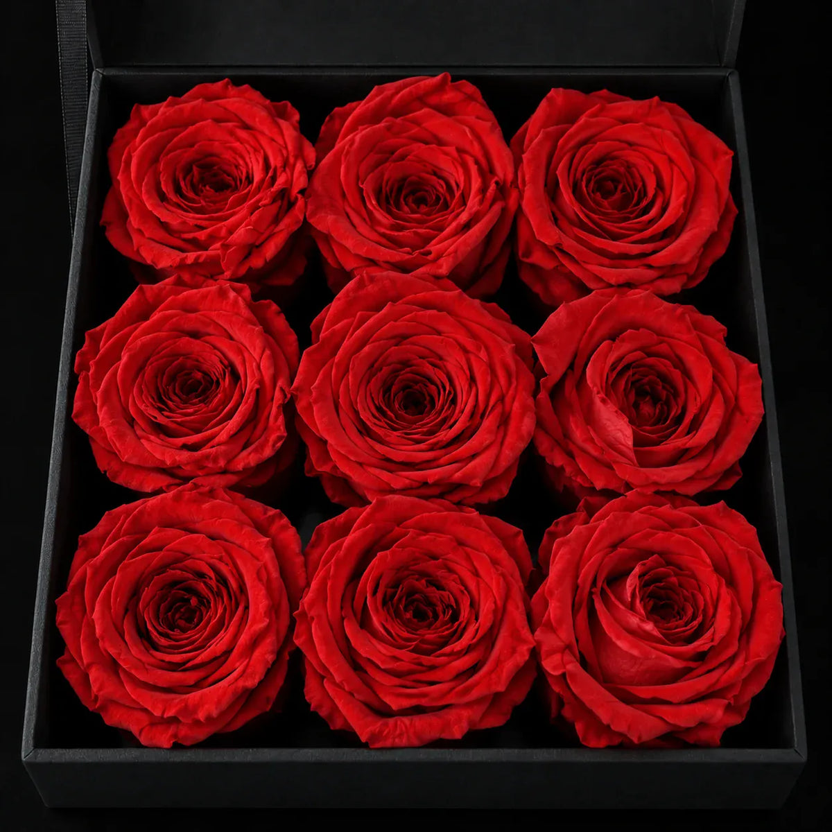 Nine red roses in The Promise, seen from above