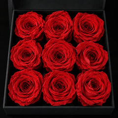 Nine red roses in The Promise, seen from above