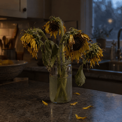 A bouquet of sunflowers drooping after about a week