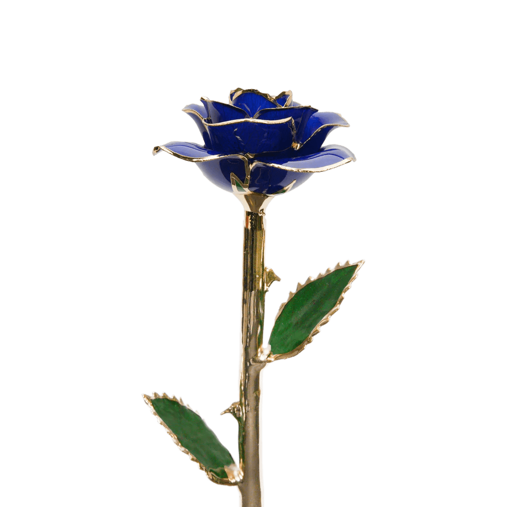 24k Gold Dipped Rose™ | SPARKLYROSES.COM
