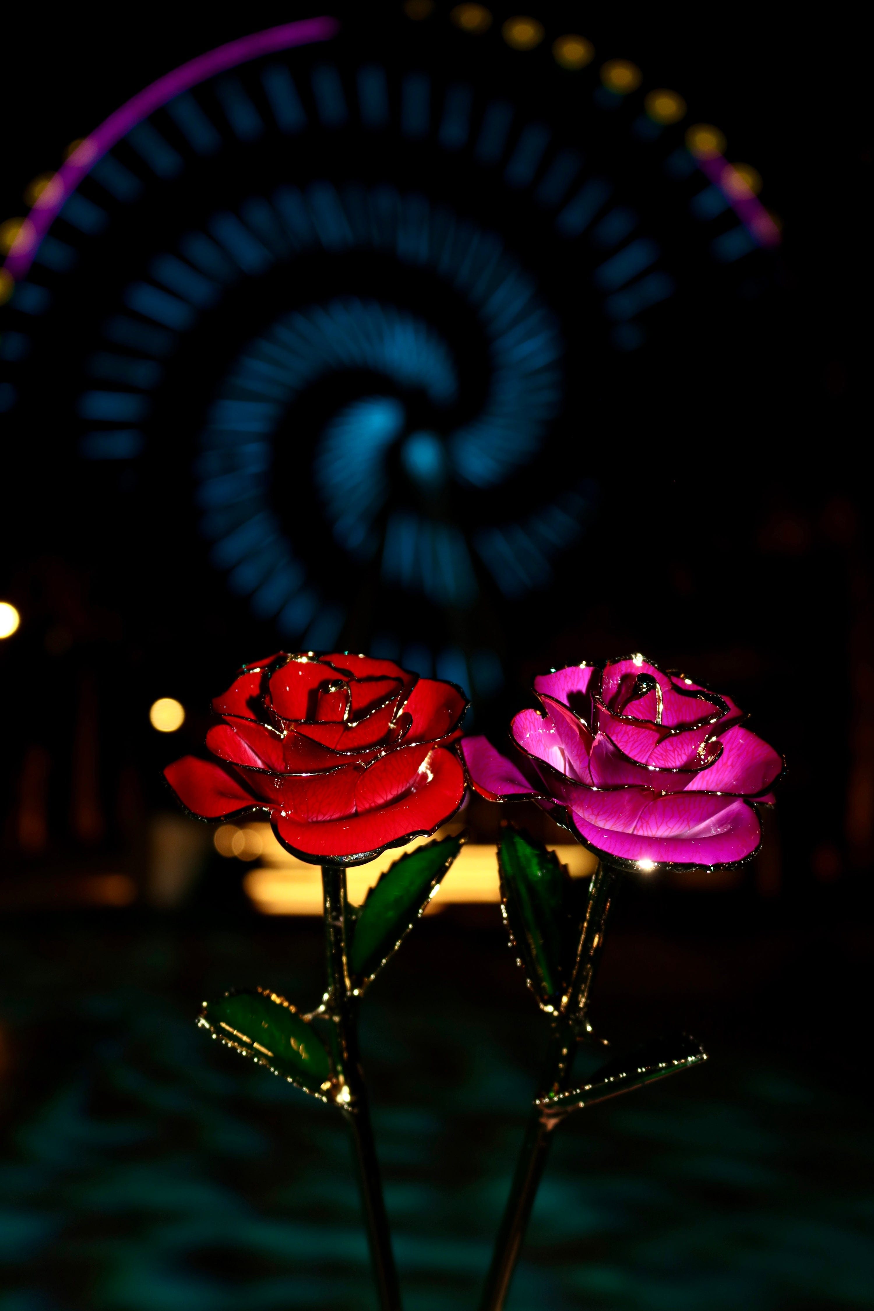 Sparkly Roses | Unique Gifts For Your Loved Ones
