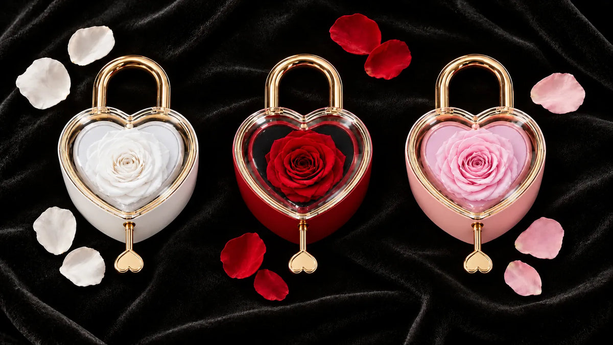 The Love Lock Rose in red, pink and white