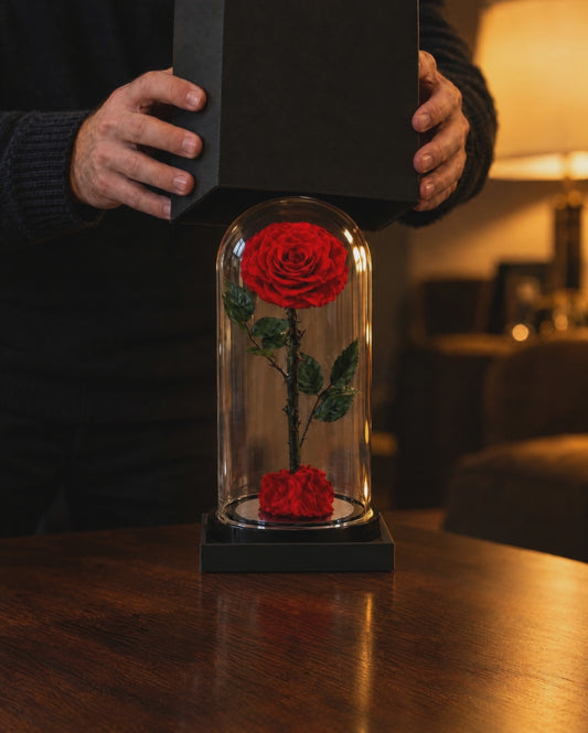 Lifting the black gift box lid to reveal the Promise Rose
