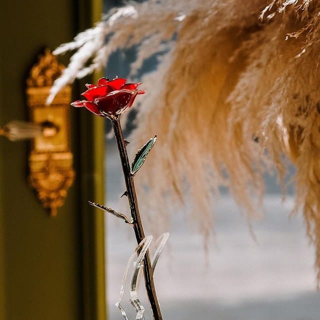 Sparkly Roses 24k Gold Dipped Rose™
