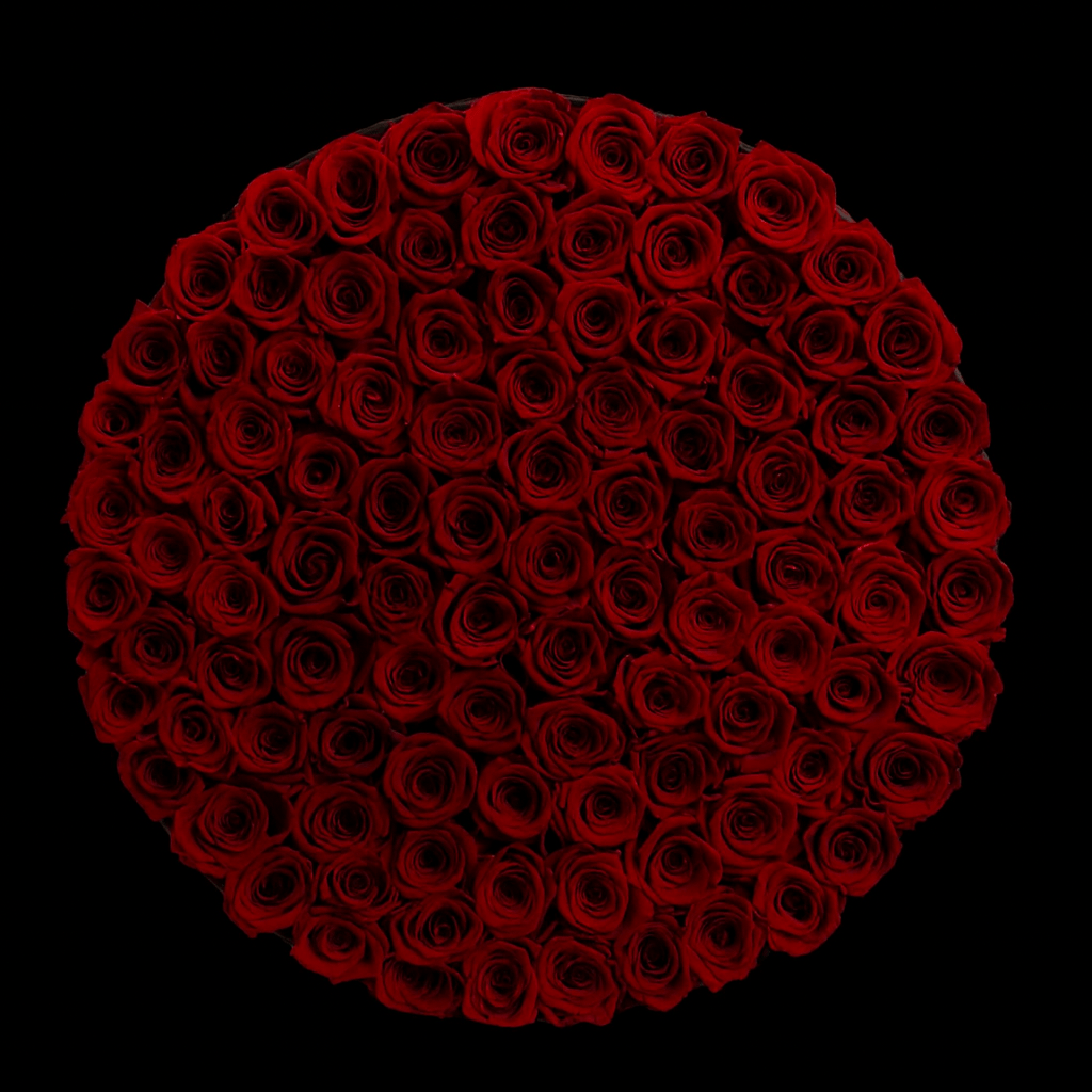 Sparkly Roses Century of Eternal Roses All Red