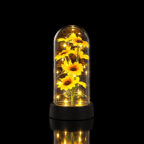Little Sunshine Sunflower