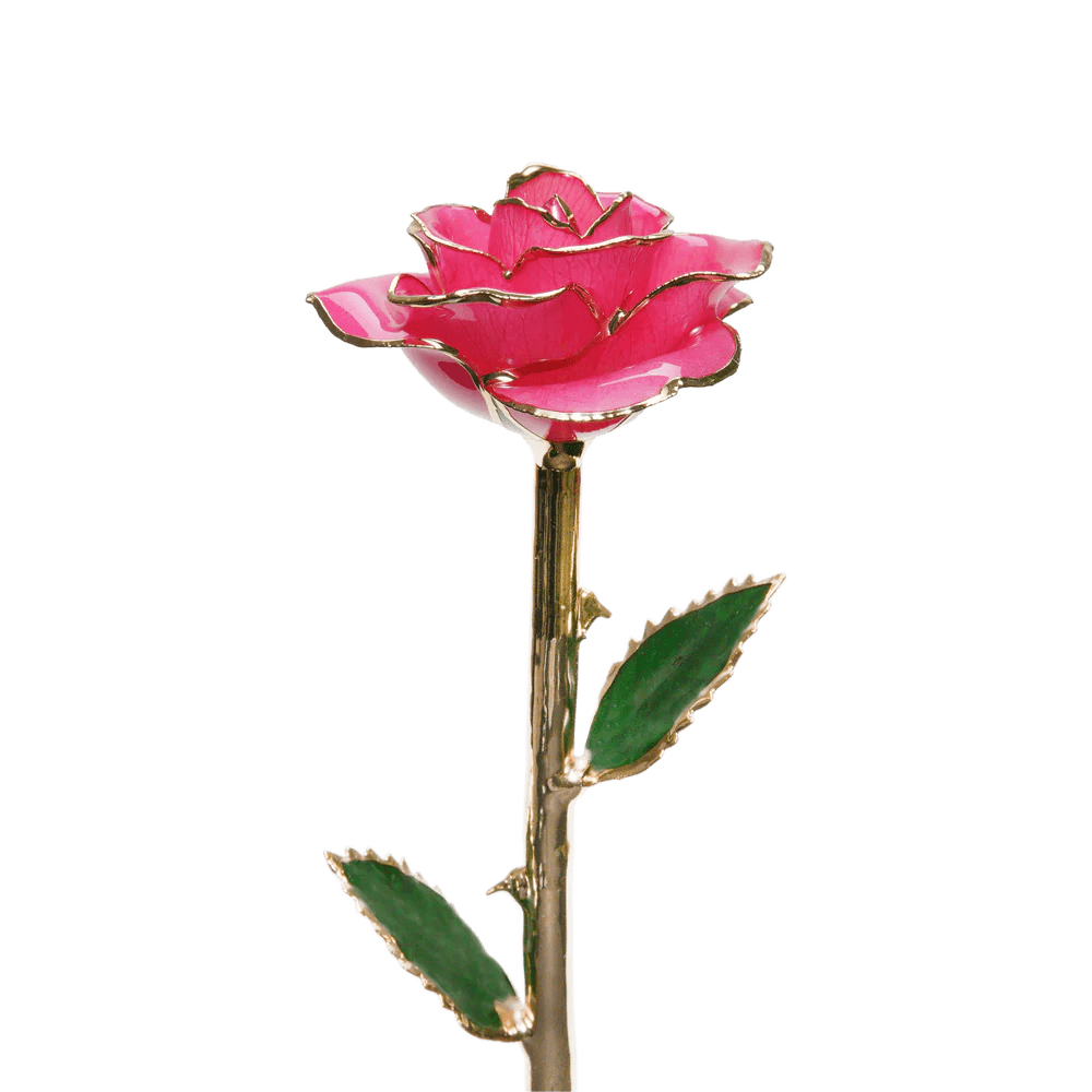24k Gold Dipped Rose™ | SPARKLYROSES.COM