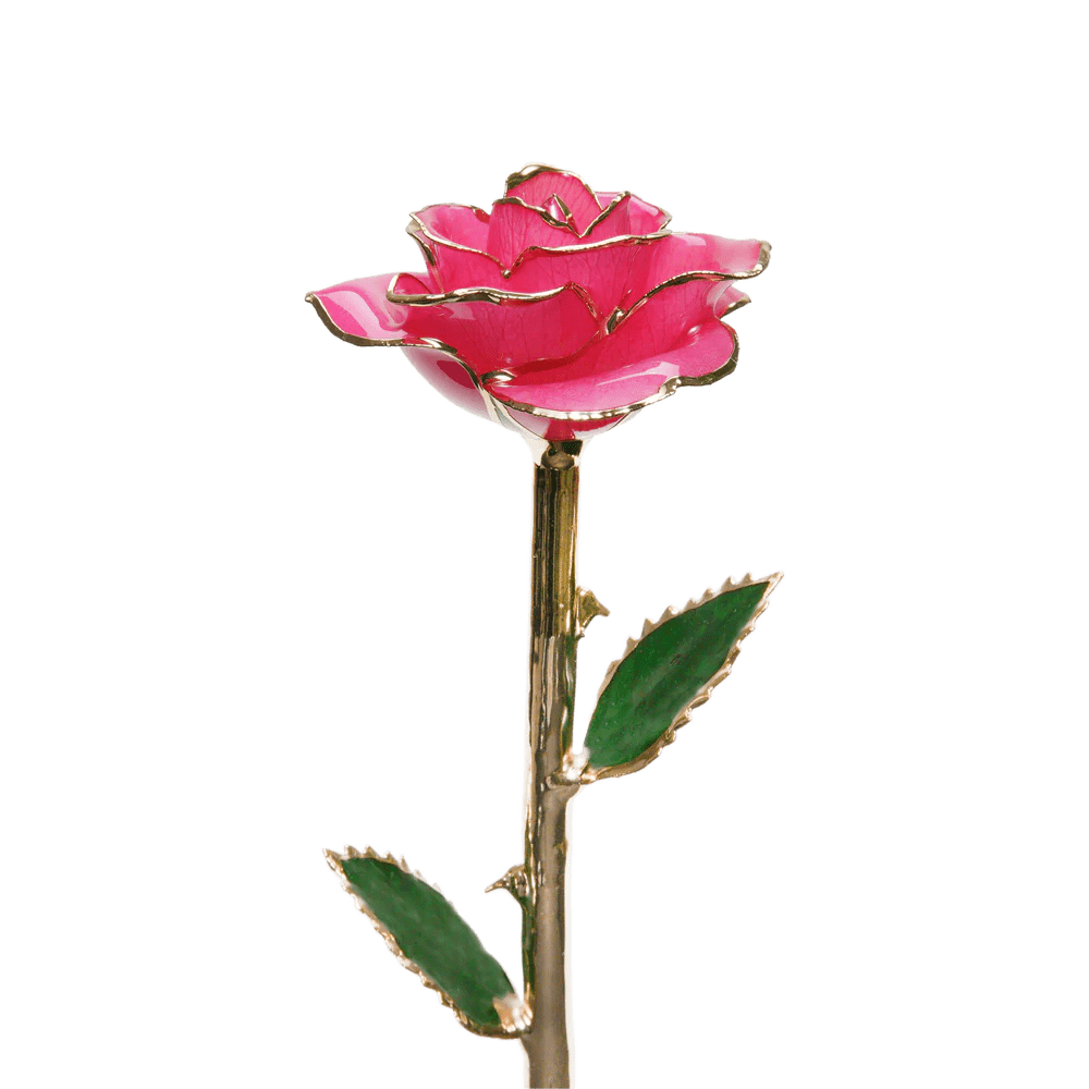 24k Gold Dipped Rose™ | The Perfect Gift For Her – Sparkly Roses