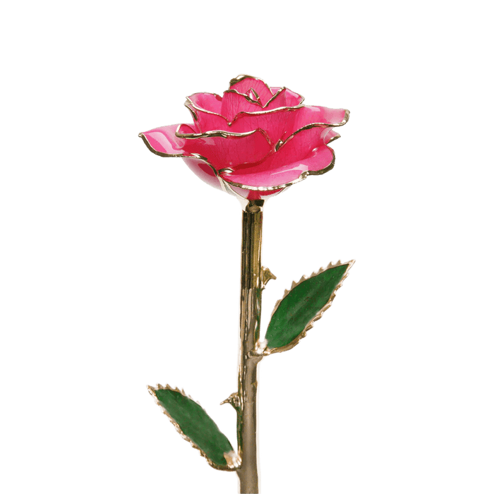 24k Gold Dipped Rose™