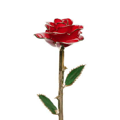 24k Gold Dipped Rose™ | SPARKLYROSES.COM