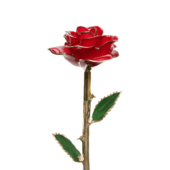 24k Gold Dipped Rose™